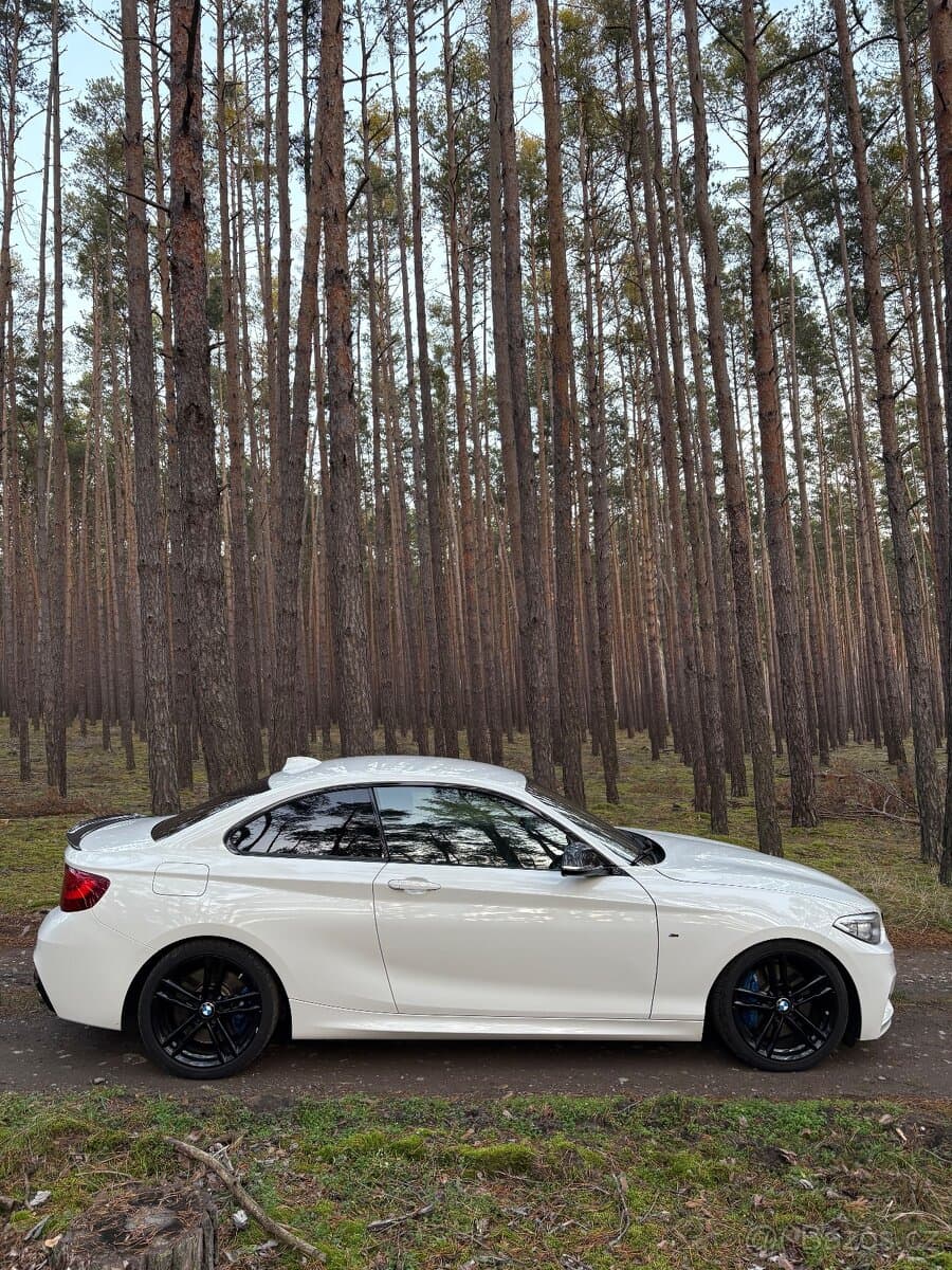 2014 BMW M2 - 3