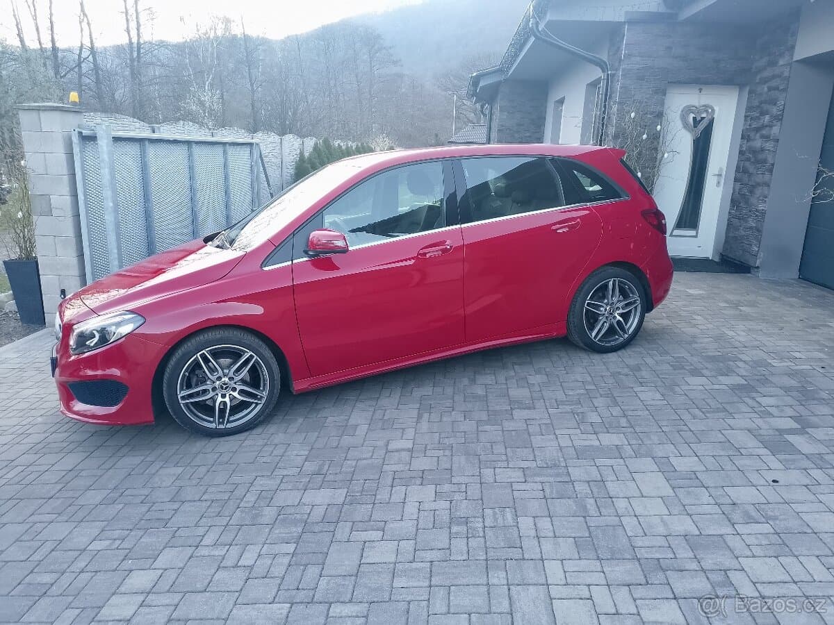 2018 Mercedes-Benz OSTATNÍ - 3