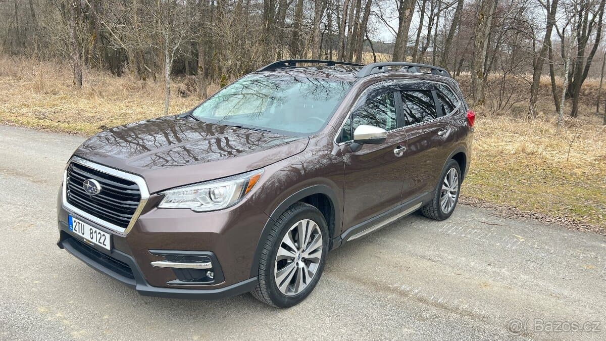 2019 Subaru OSTATNÍ - 3