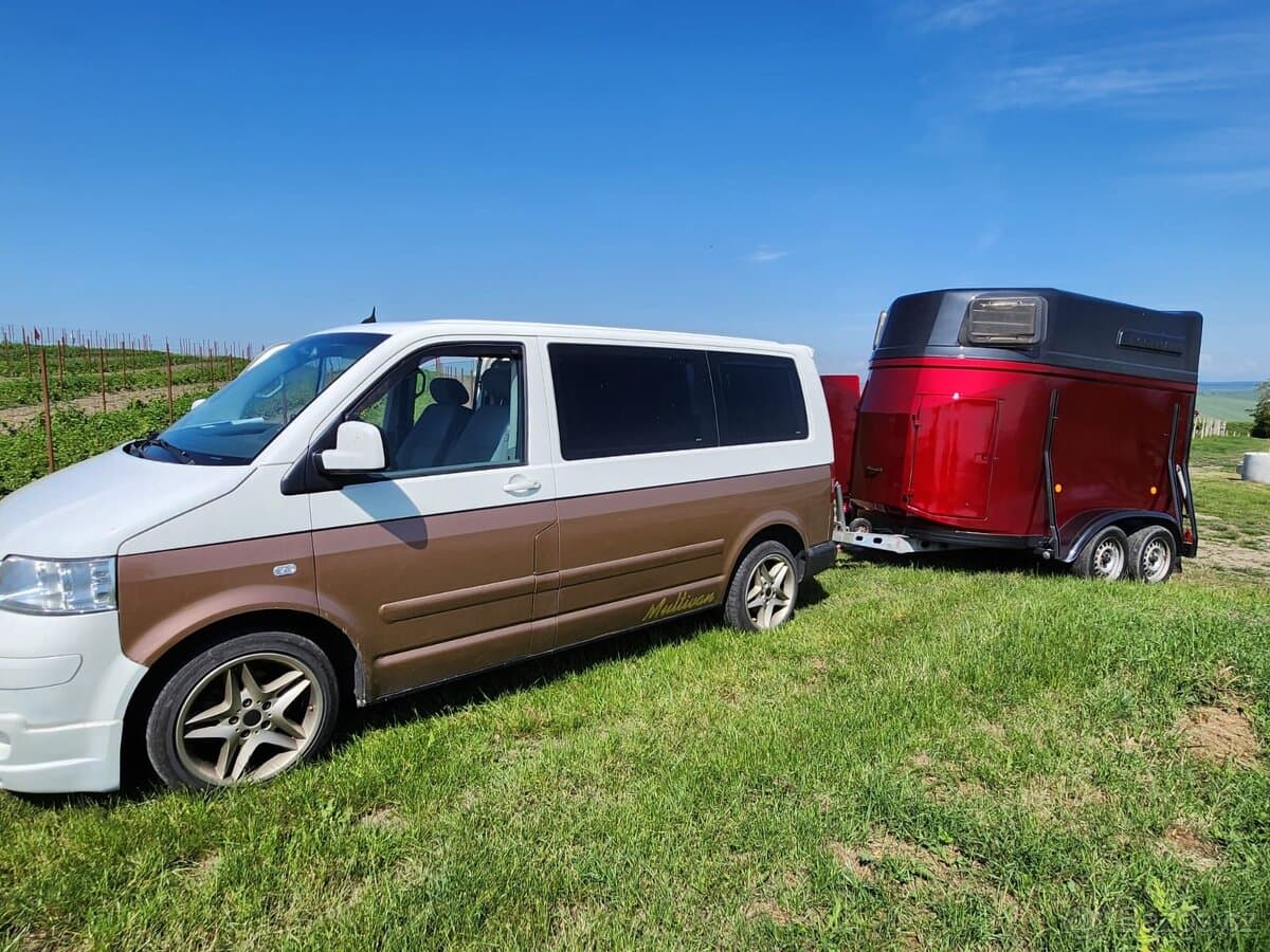 2004 Volkswagen MULTIVAN - 3