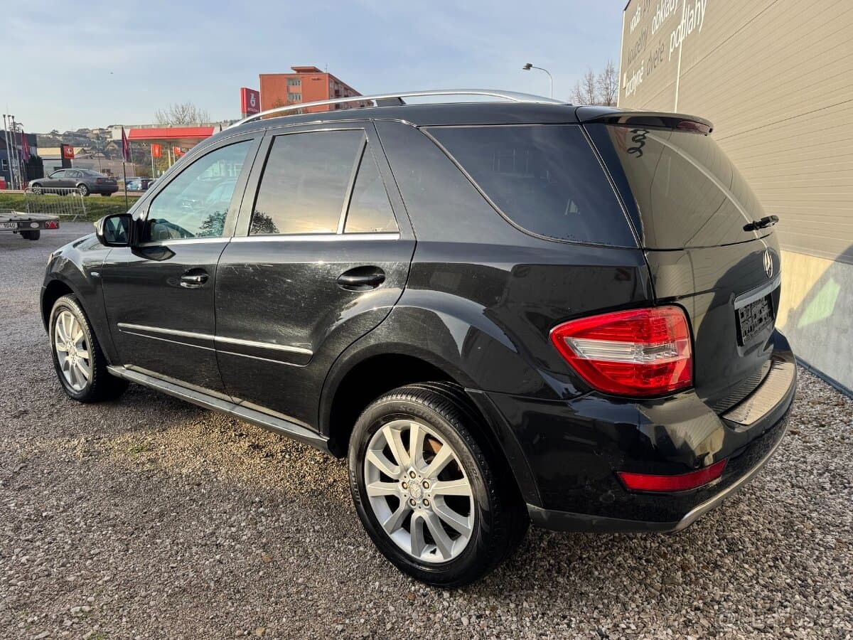 2010 Mercedes-Benz M-CLASS - 3