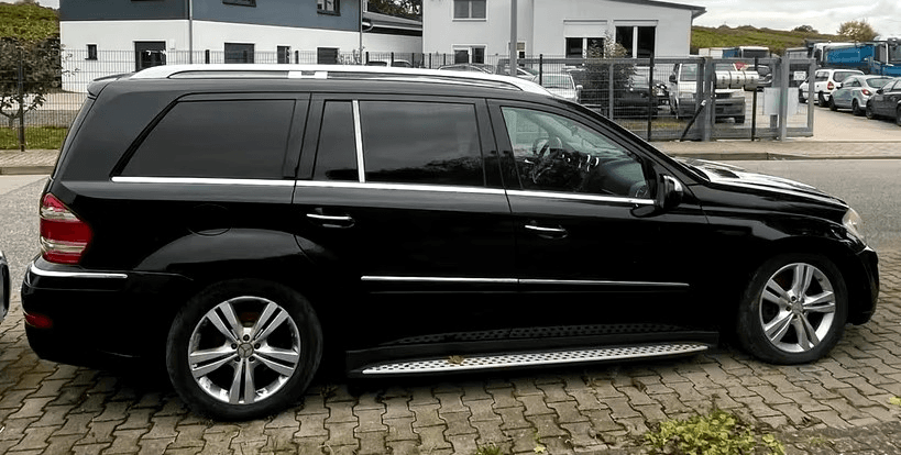 2010 Mercedes-Benz OSTATNÍ - 3