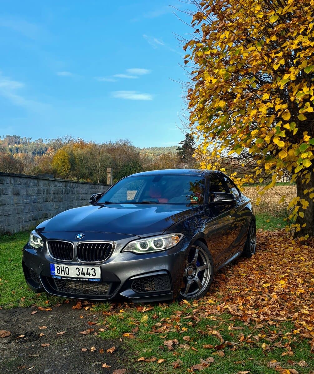 2016 BMW M2 - 3