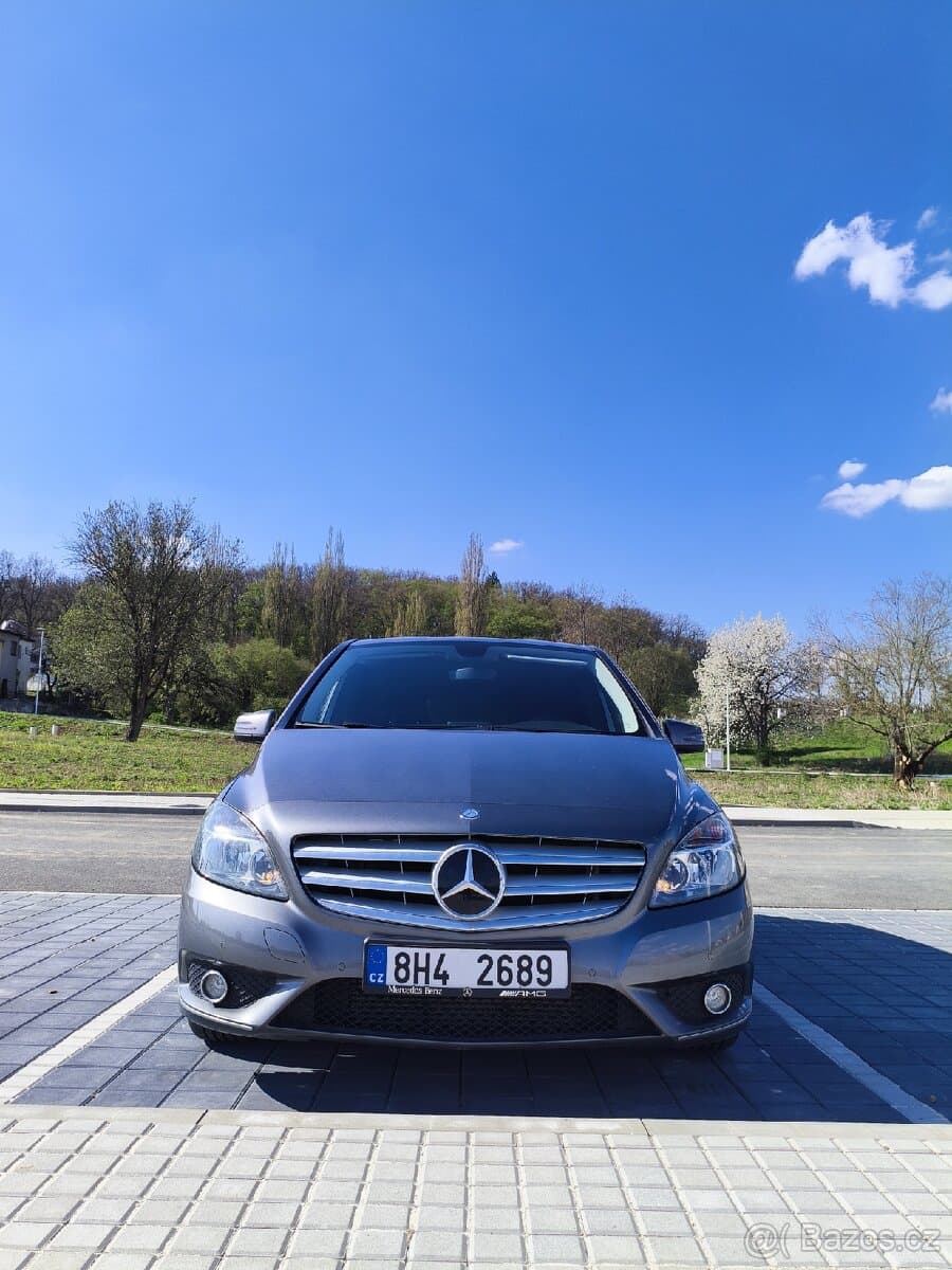 2014 Mercedes-Benz B-CLASS - 3
