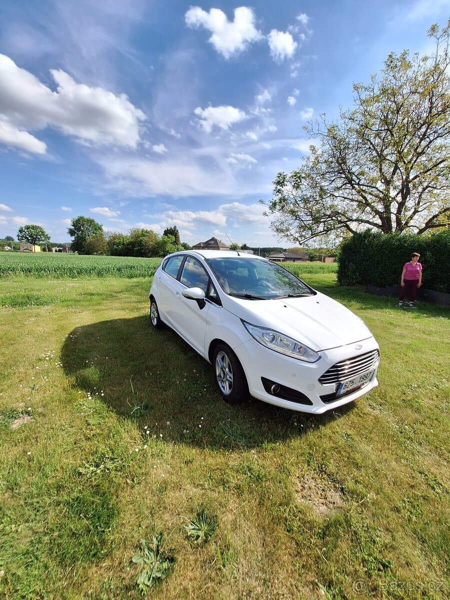 2013 Ford FIESTA - 3