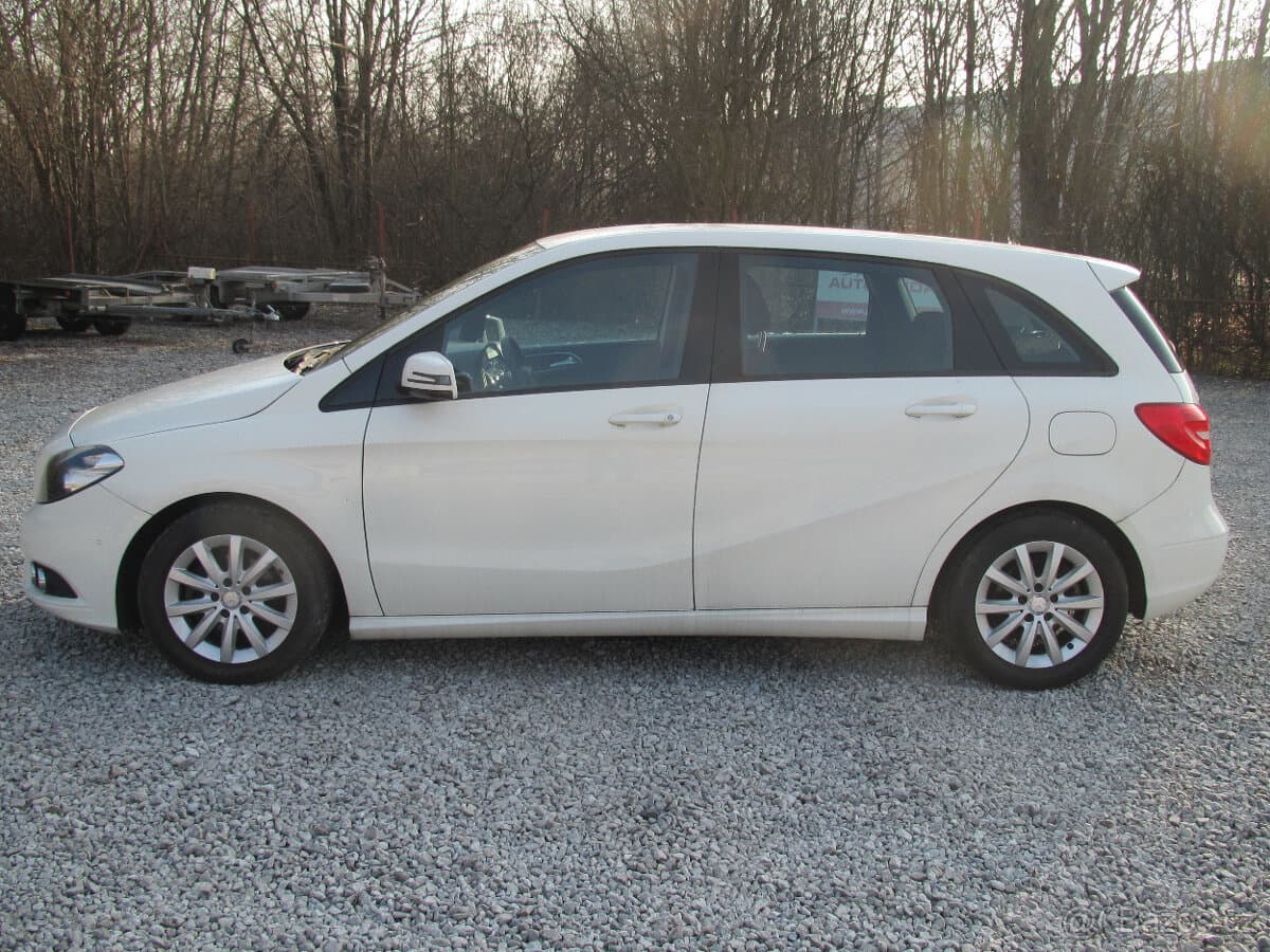 2013 Mercedes-Benz OSTATNÍ - 3