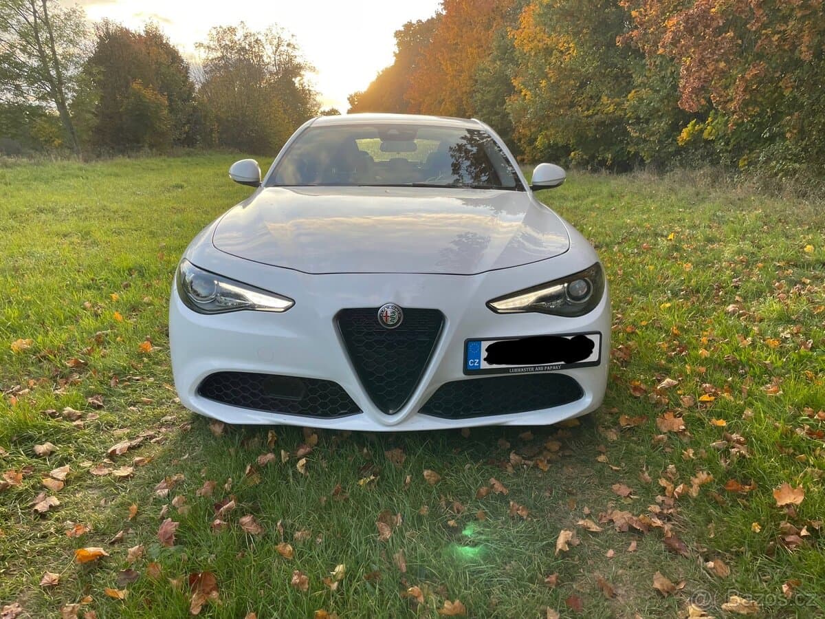 2019 Alfa Romeo GIULIA - 3