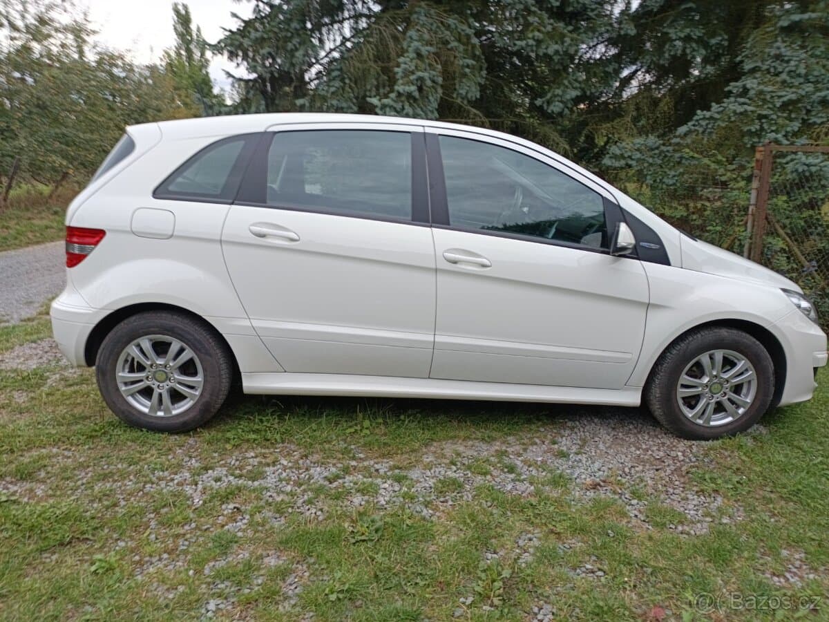 2010 Mercedes-Benz OSTATNÍ - 3