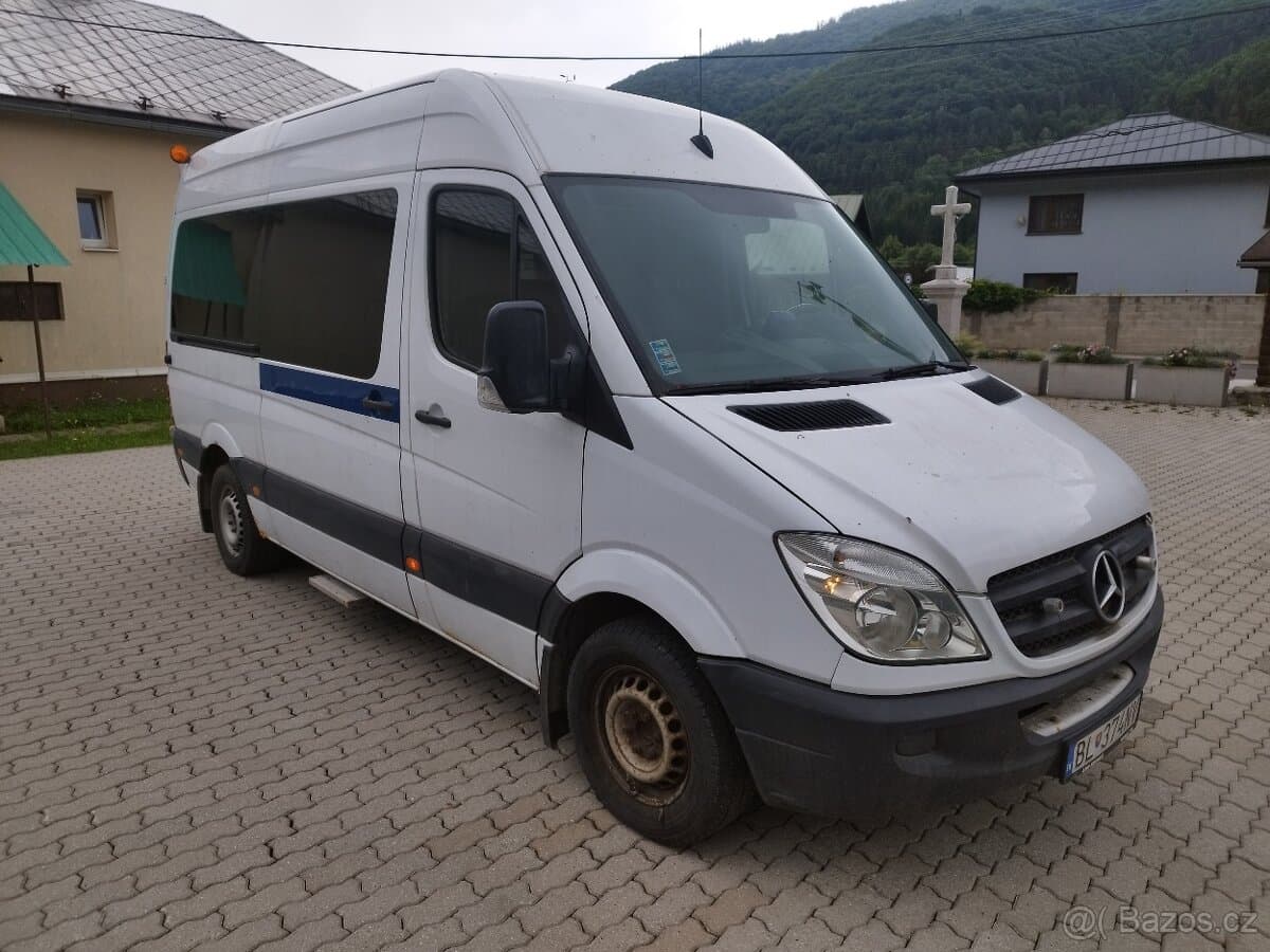 2009 Mercedes-Benz SPRINTER - 3
