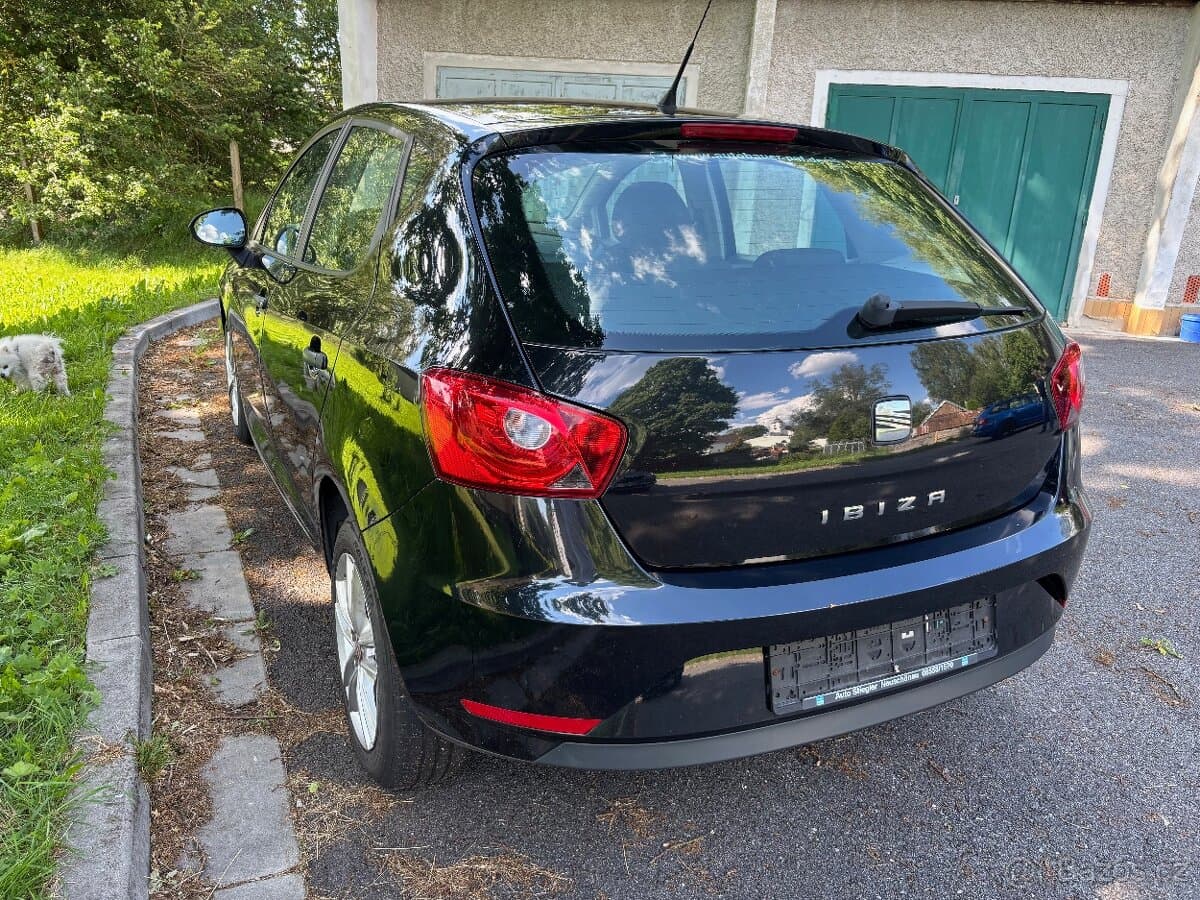 2013 Seat IBIZA - 3