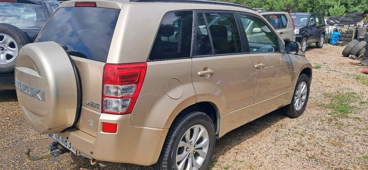 2010 Suzuki GRAND - 3