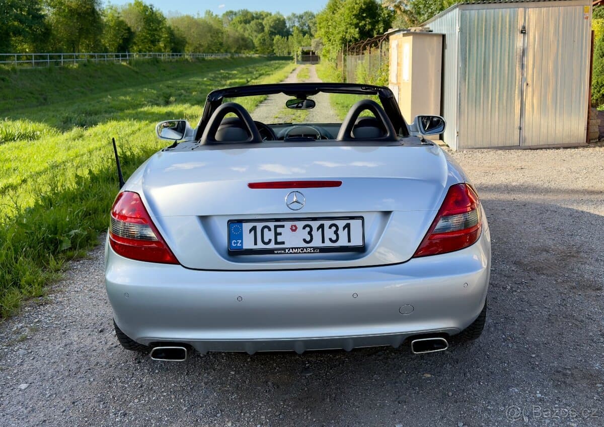 2010 Mercedes-Benz OSTATNÍ - 4