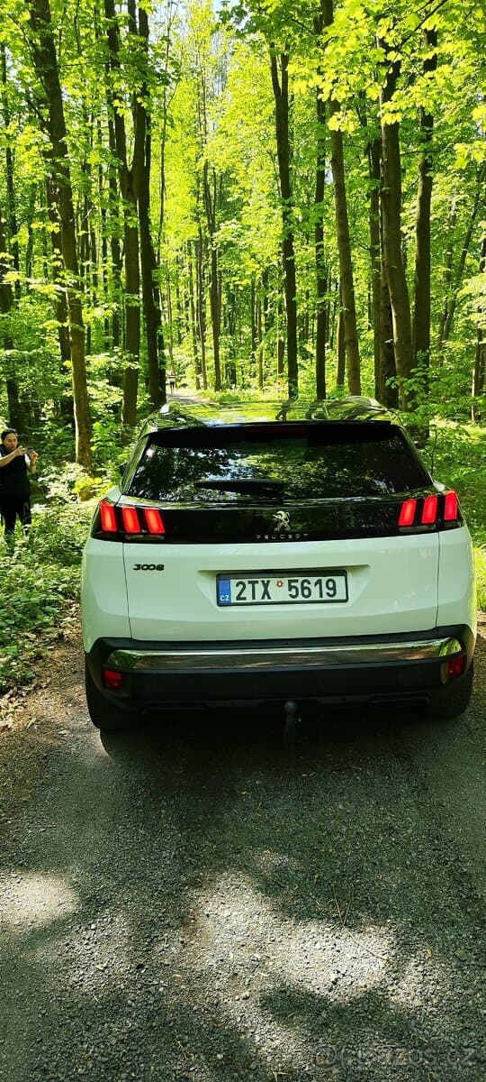 2019 Peugeot 3008 - 4