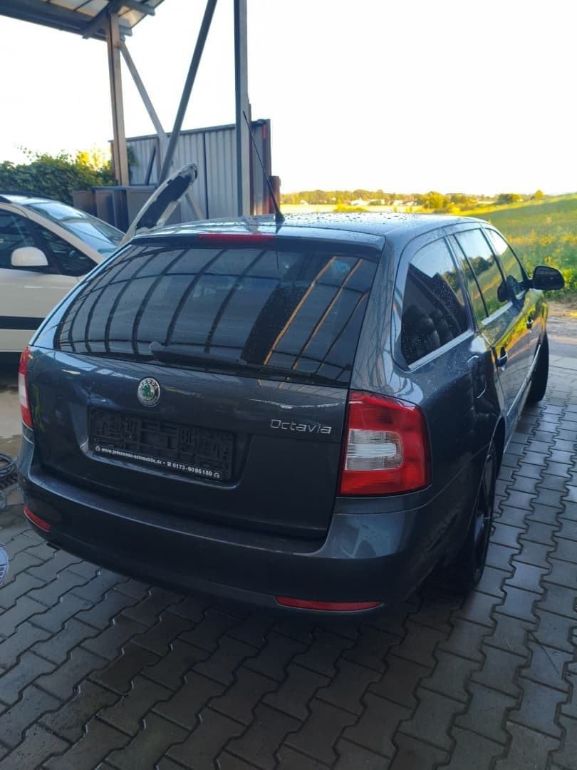 Škoda OCTAVIA - 4