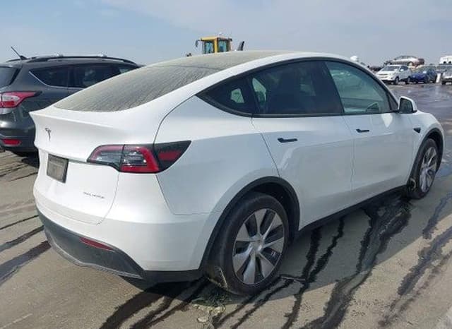 2023 Tesla MODEL Y - 4