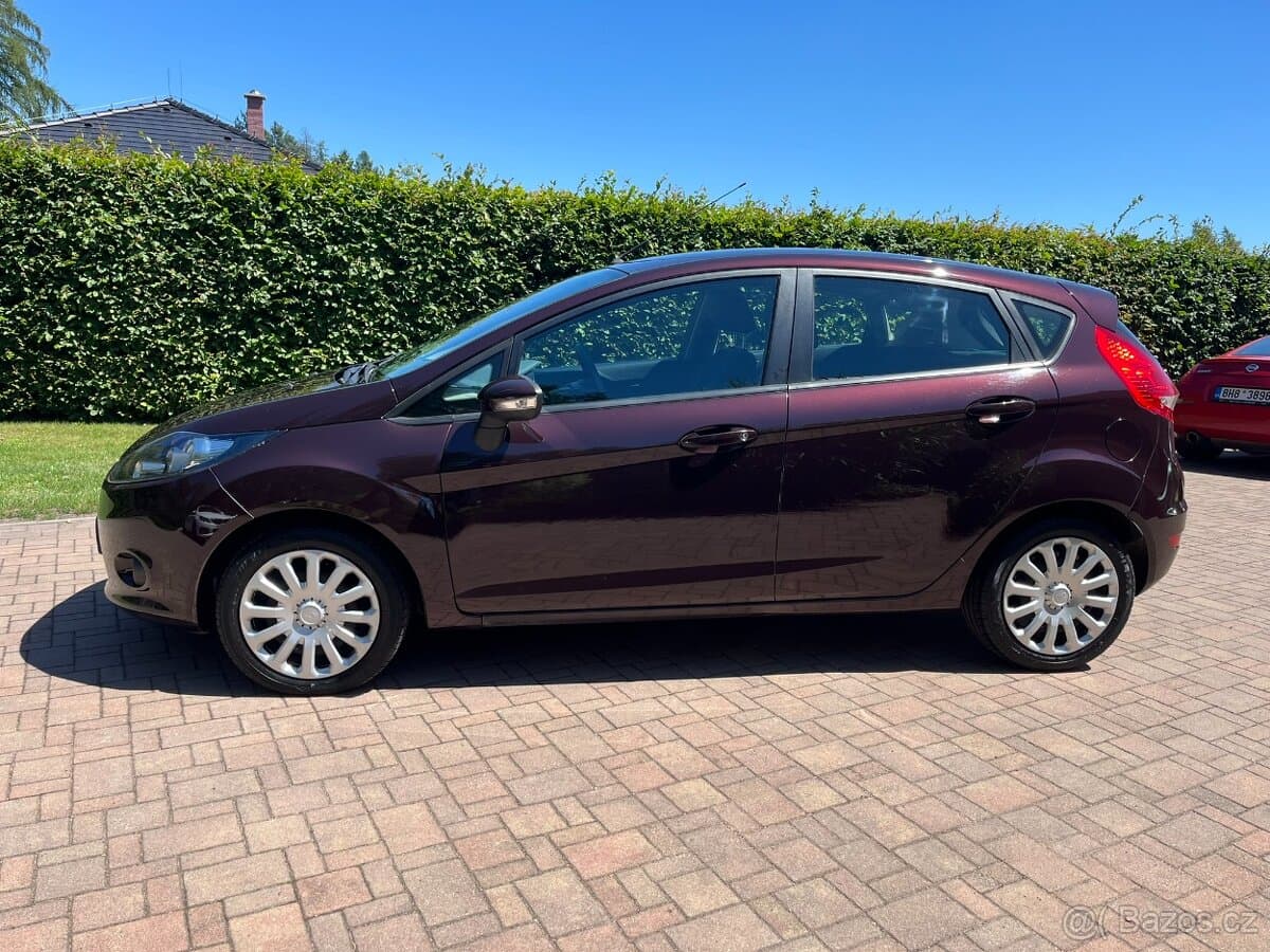 2010 Ford FIESTA - 4