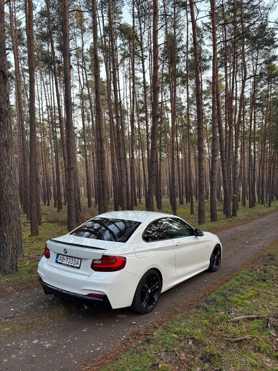 2014 BMW M2 - 4