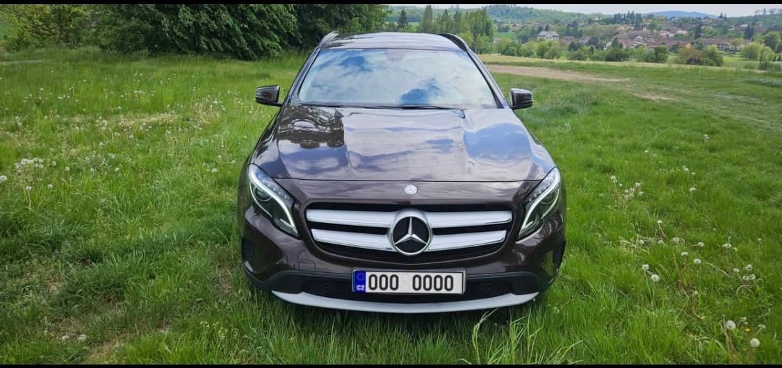 2014 Mercedes-Benz OSTATNÍ - 4