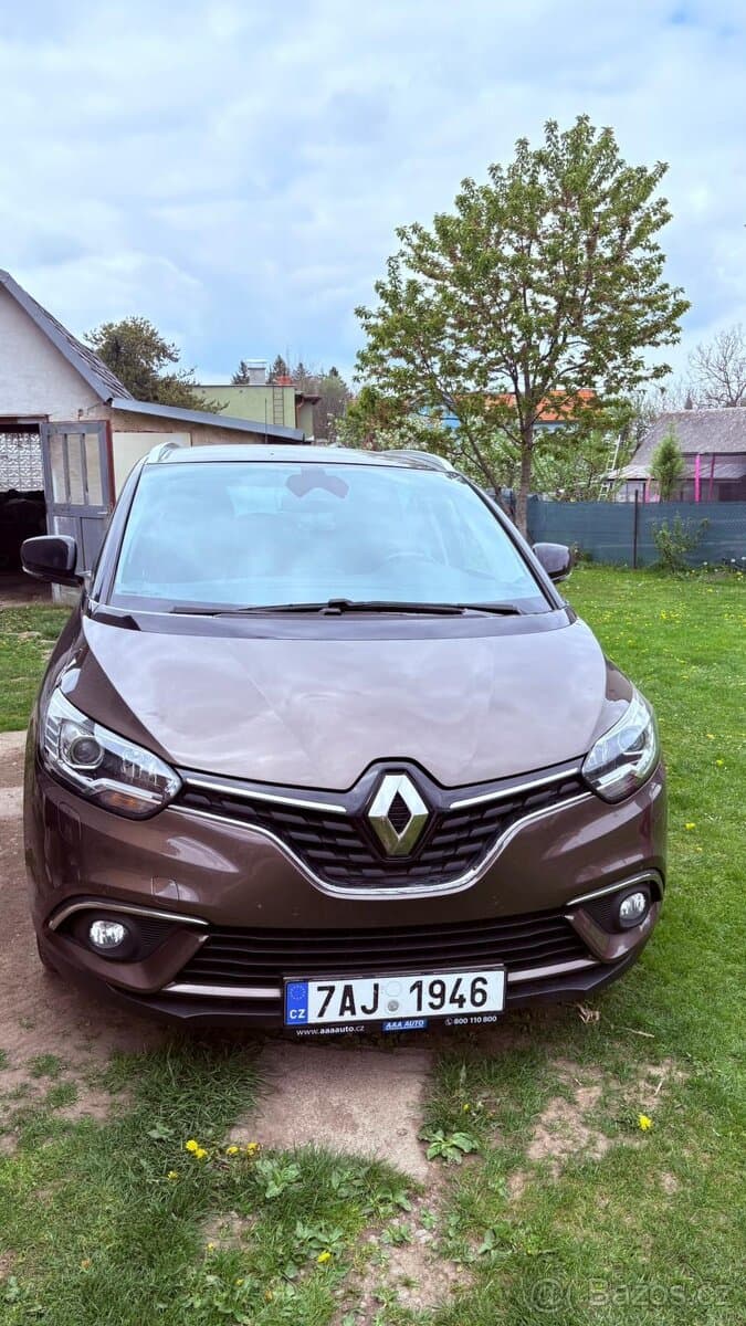 2019 Renault SCENIC - 4