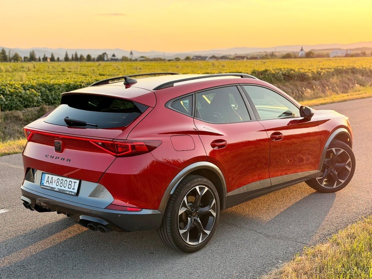 2021 Cupra FORMENTOR - 4