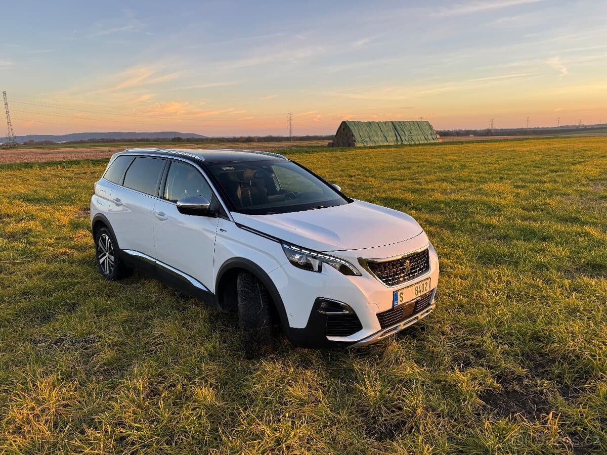 2019 Peugeot 5008 - 4