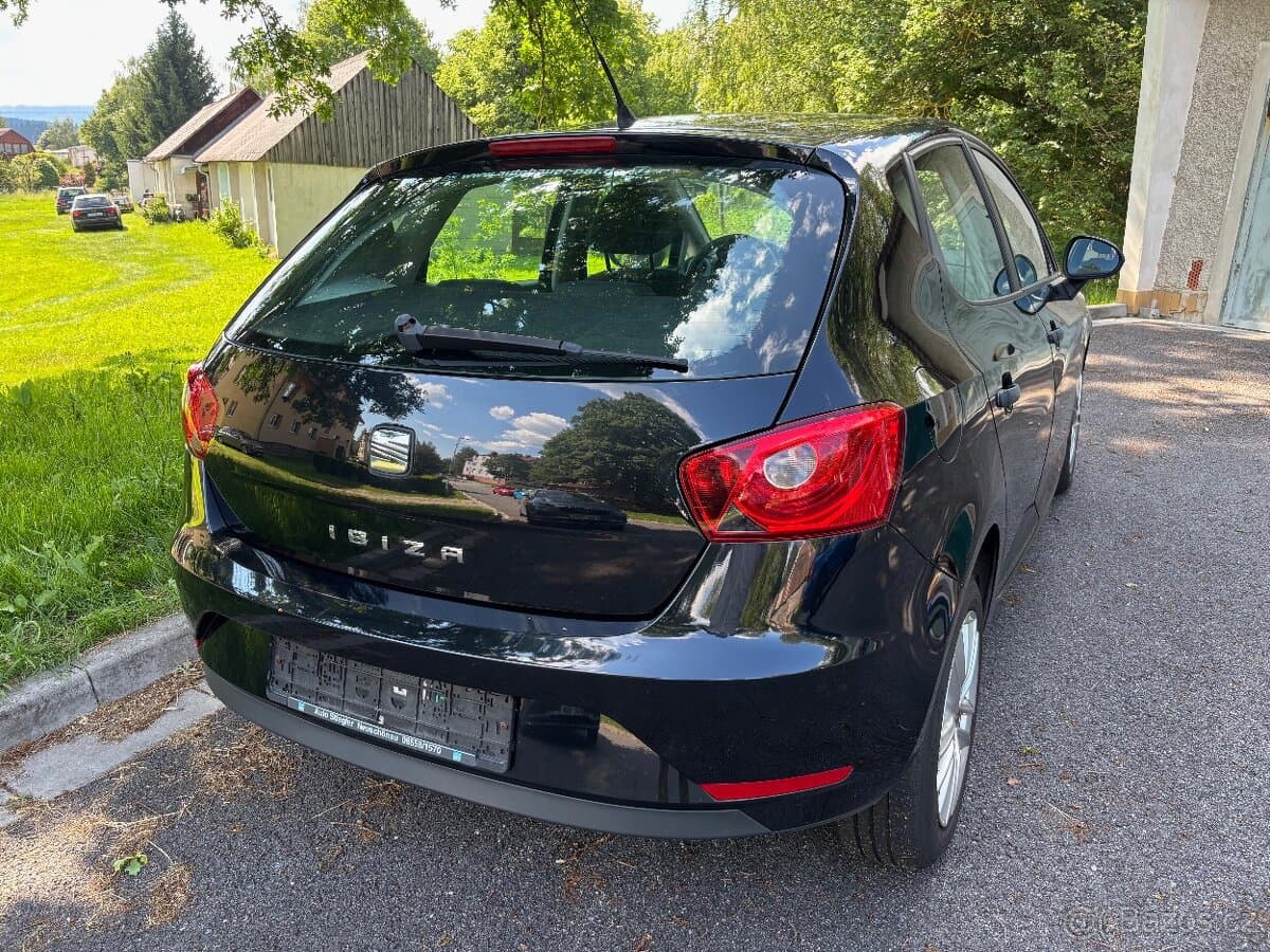 2013 Seat IBIZA - 4