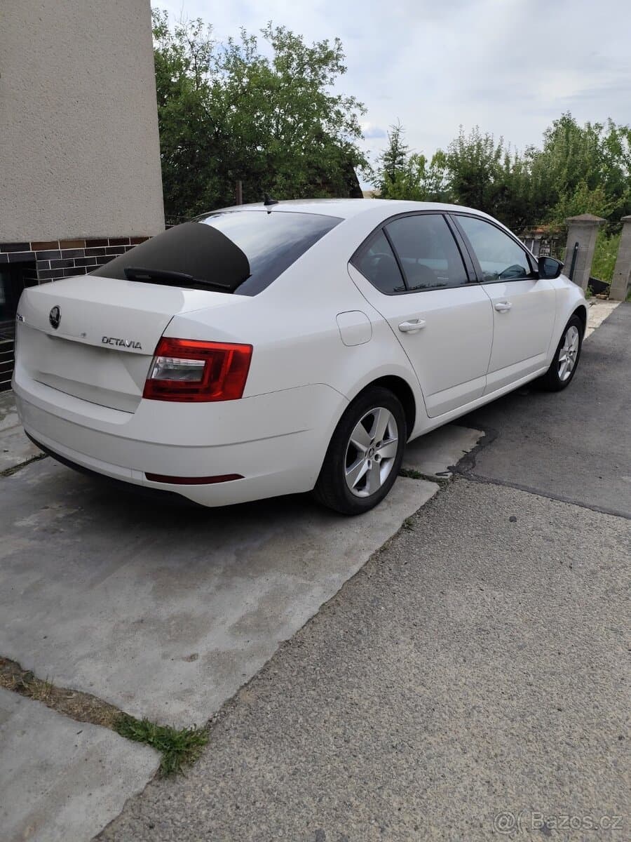 2019 Škoda OCTAVIA - 4