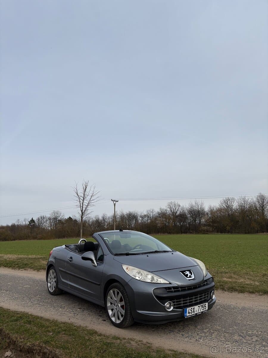 2007 Peugeot 207 - 4