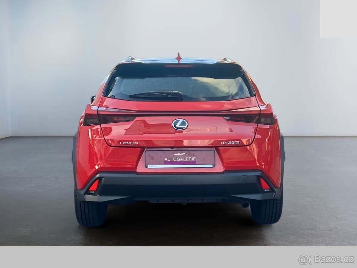 2019 Lexus UX - 5