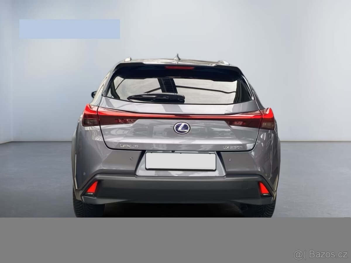 2019 Lexus UX - 5
