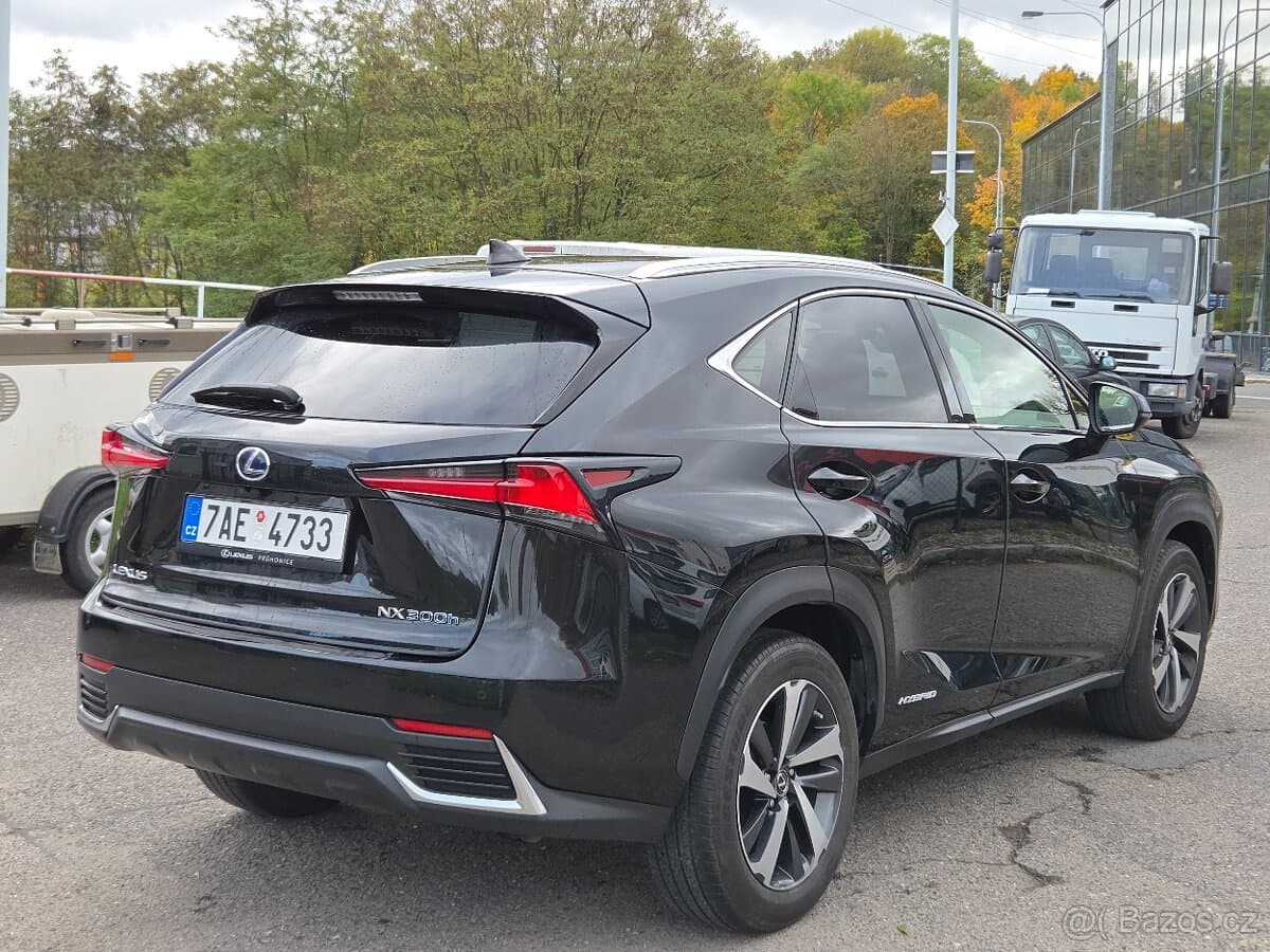 2018 Lexus NX - 5