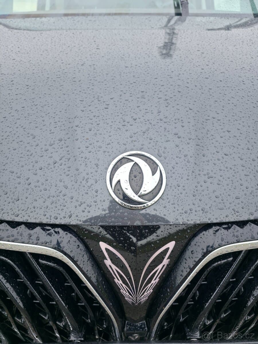 2024 Dongfeng OSTATNÍ - 5
