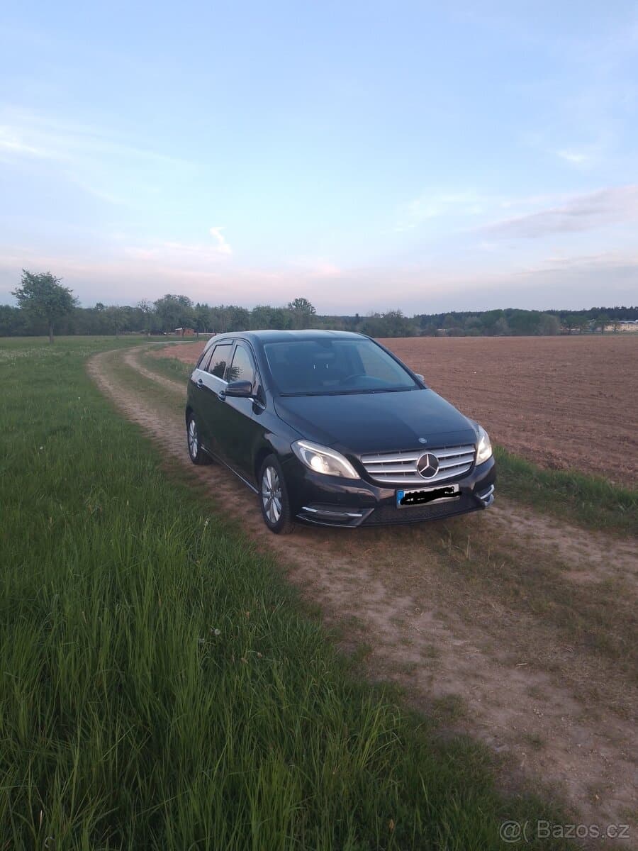 2014 Mercedes-Benz OSTATNÍ - 5