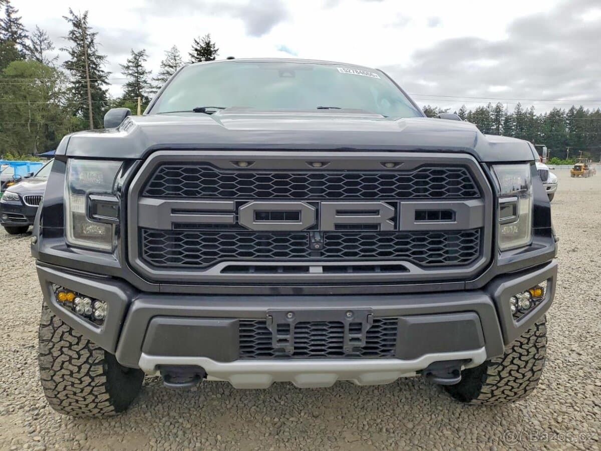 2018 Ford OSTATNÍ - 5