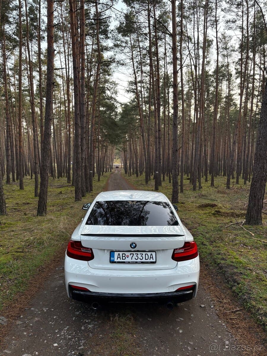 2014 BMW M2 - 5