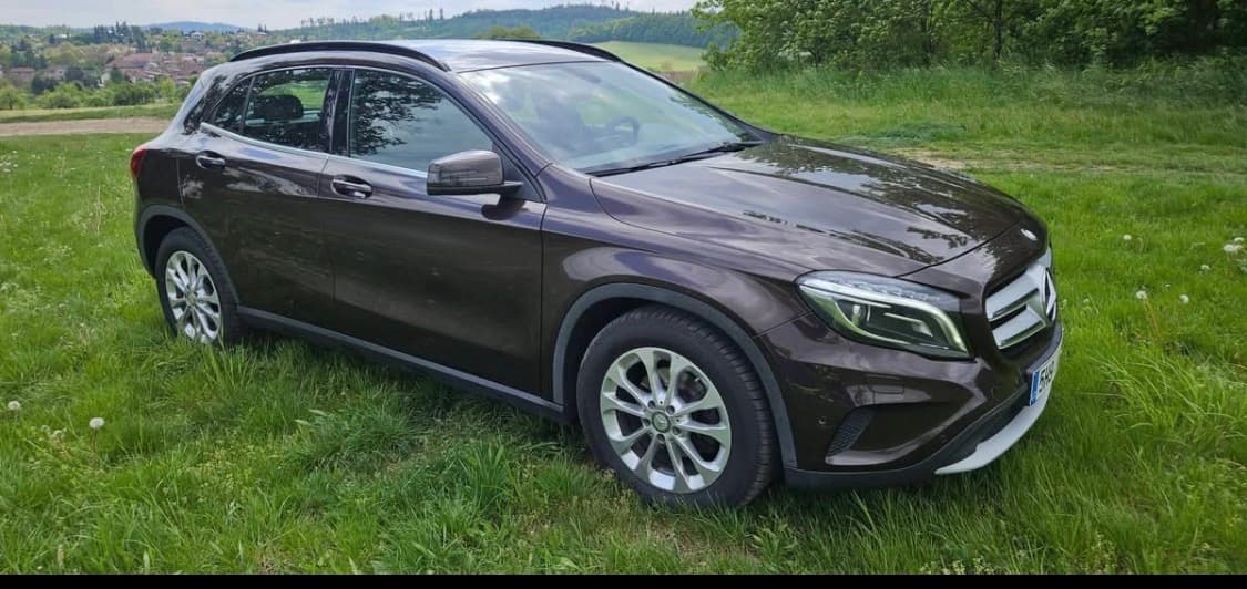 2014 Mercedes-Benz OSTATNÍ - 5