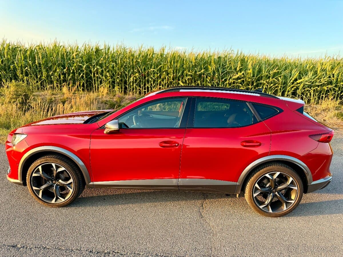2021 Cupra FORMENTOR - 5