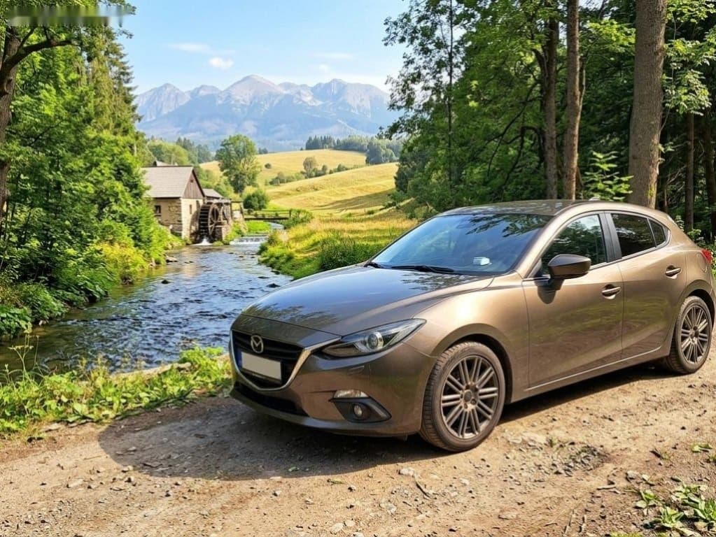 2014 Mazda 3 - 6