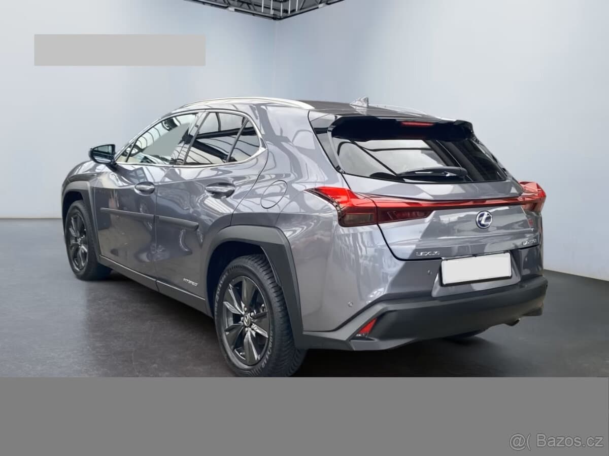 2019 Lexus UX - 6