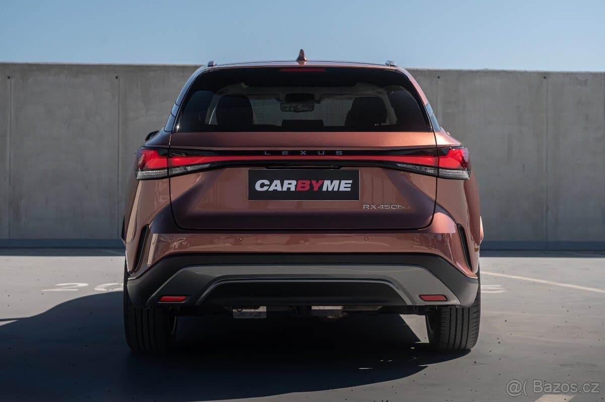 2024 Lexus RX - 6