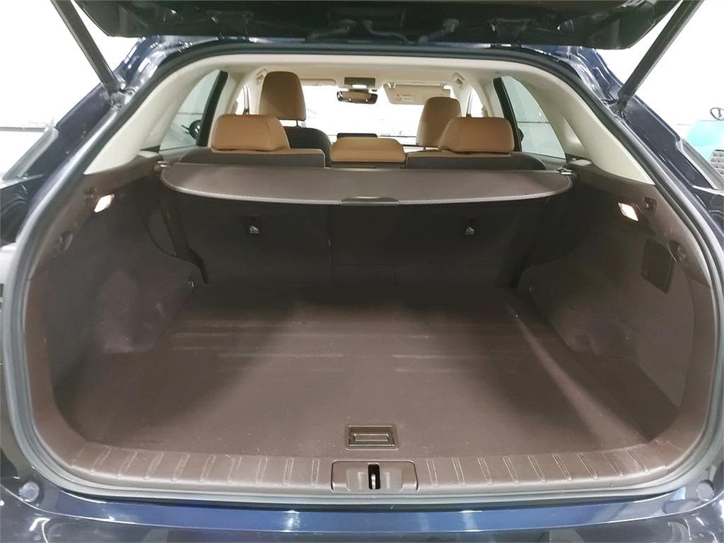 2017 Lexus RX - 6