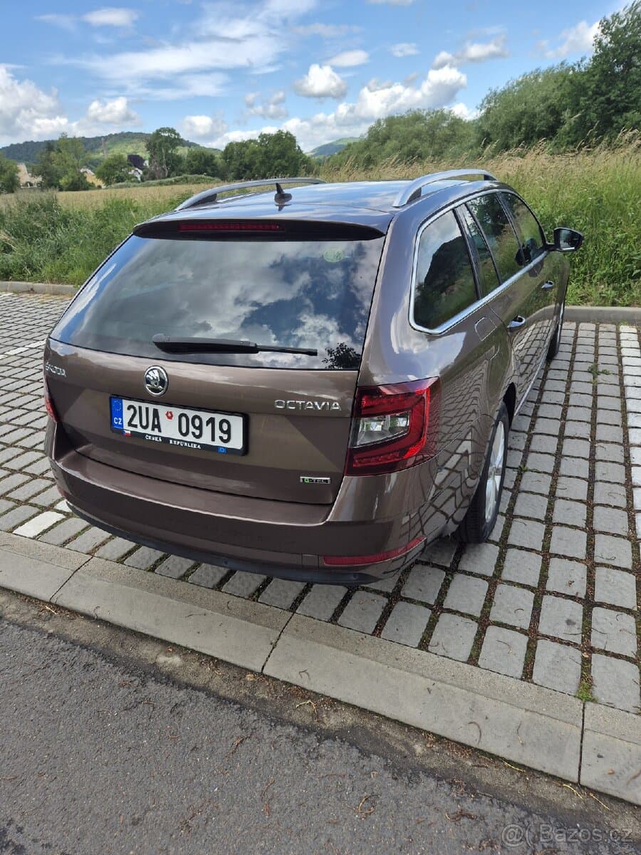 2019 Škoda OCTAVIA - 6