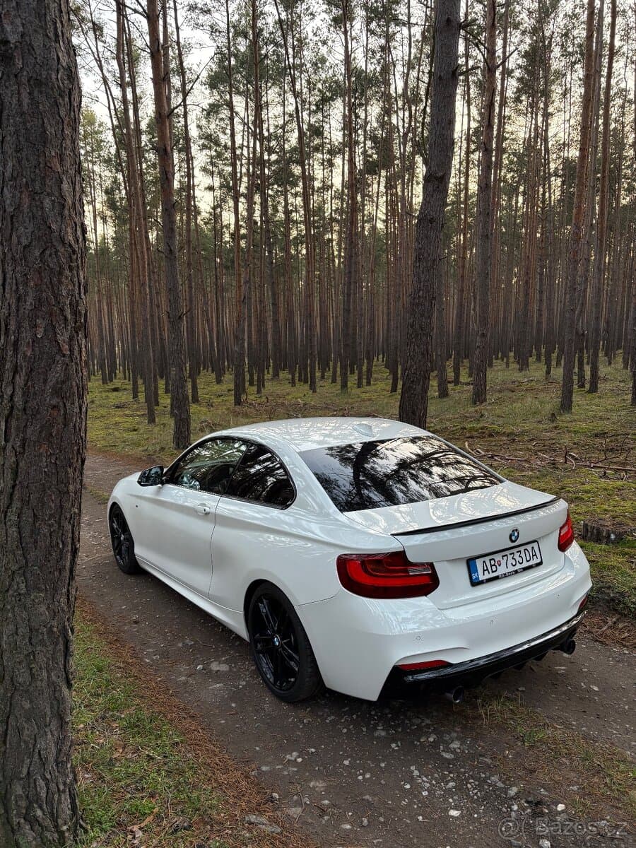 2014 BMW M2 - 6