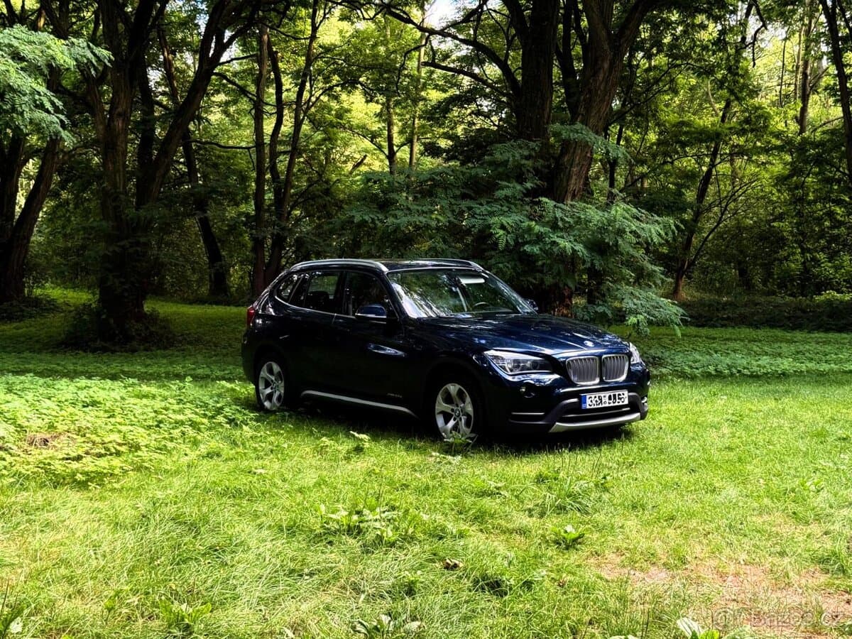 2013 BMW X1 - 6