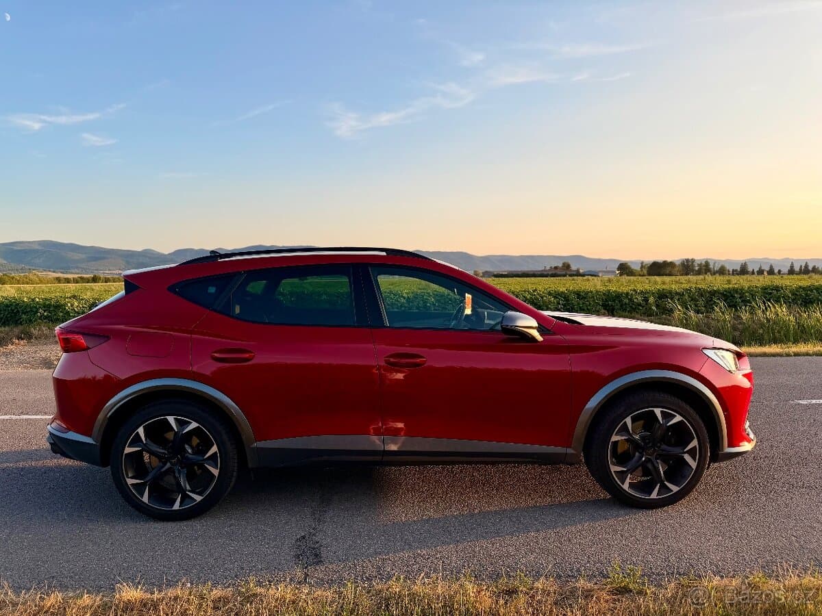 2021 Cupra FORMENTOR - 6