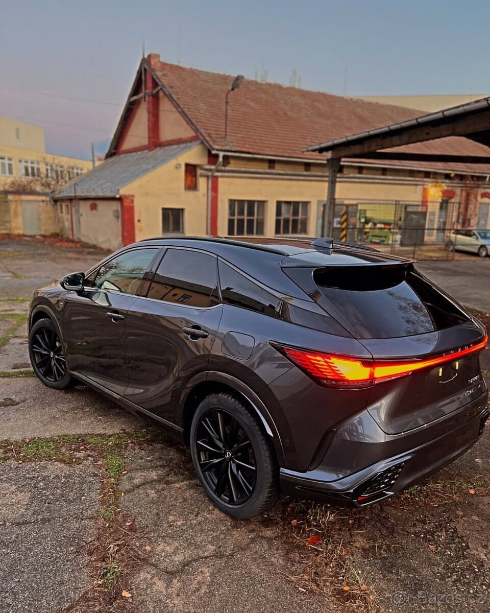 2024 Lexus RX - 6