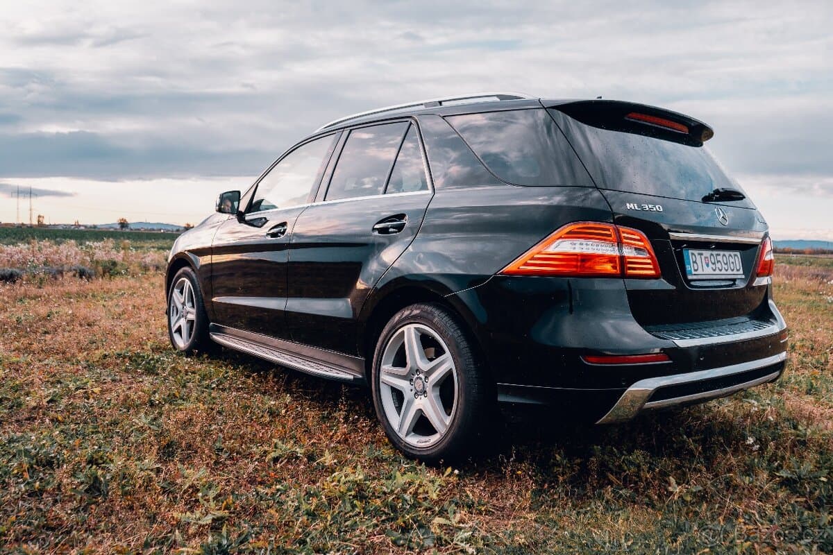 2014 Mercedes-Benz M-CLASS - 6