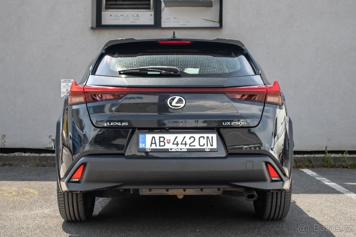 2023 Lexus UX - 6