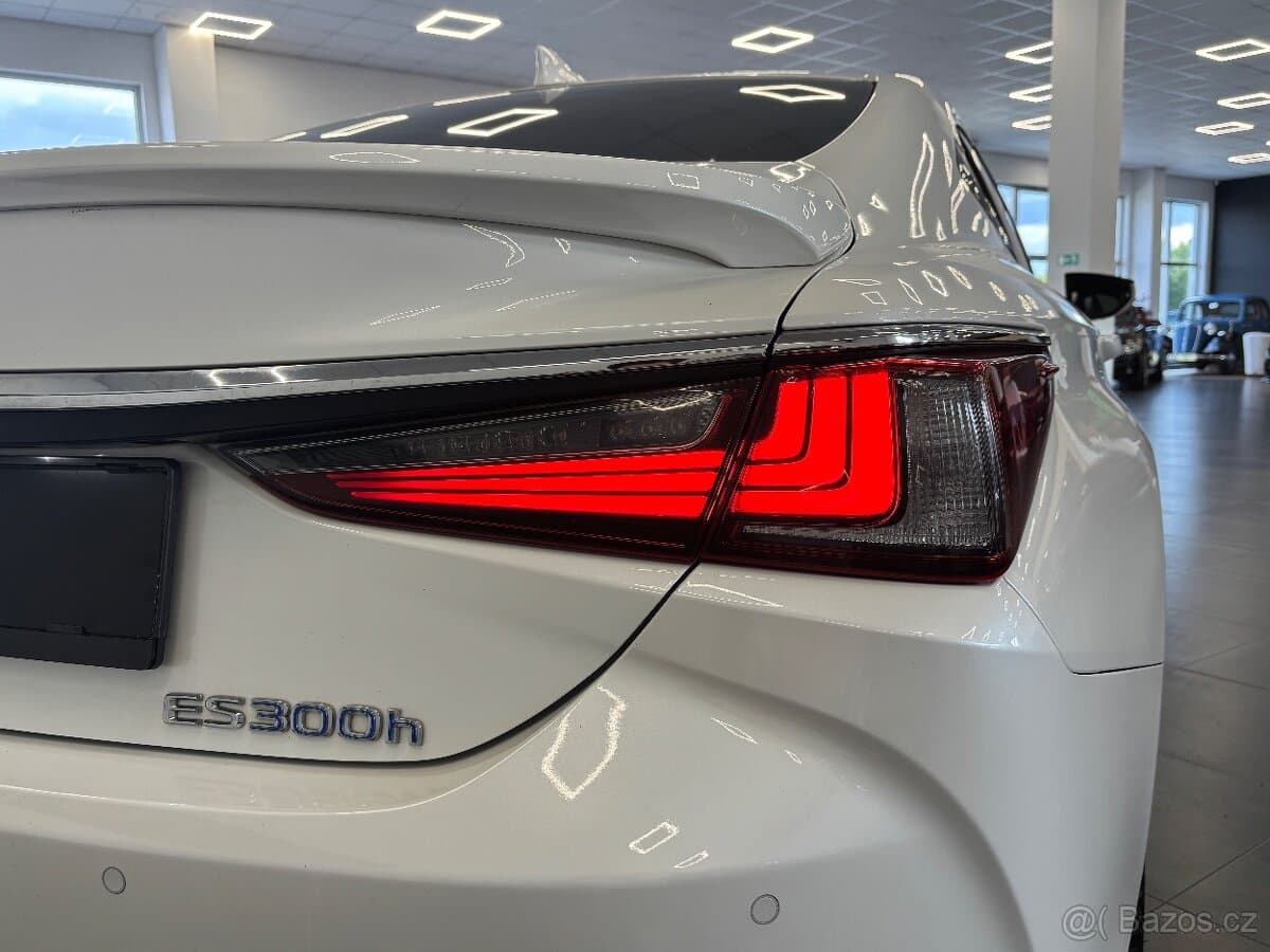 2019 Lexus OSTATNÍ - 7