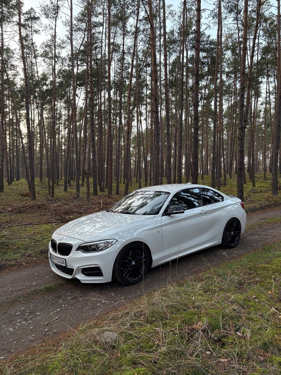 2014 BMW M2 - 7